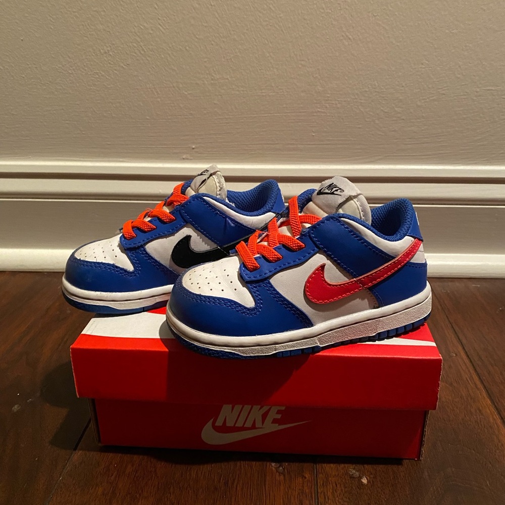 Nike Dunk Low TDE